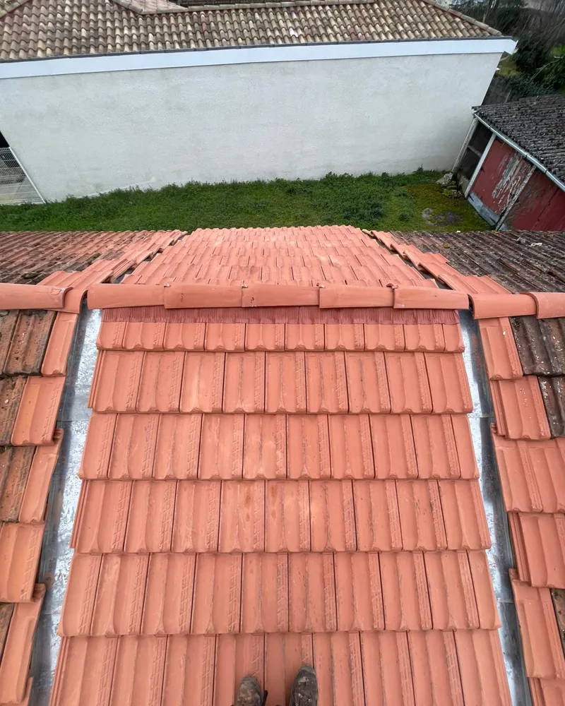 Toiture en tuiles vue en hauteur après nettoyage, à Agen
