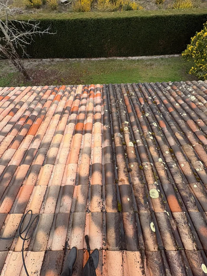 Toiture en tuiles à moitié démoussée : partie nettoyée et partie couverte de mousse et lichen